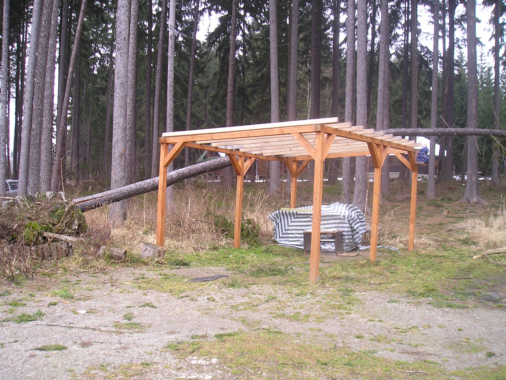 P1010489.JPG